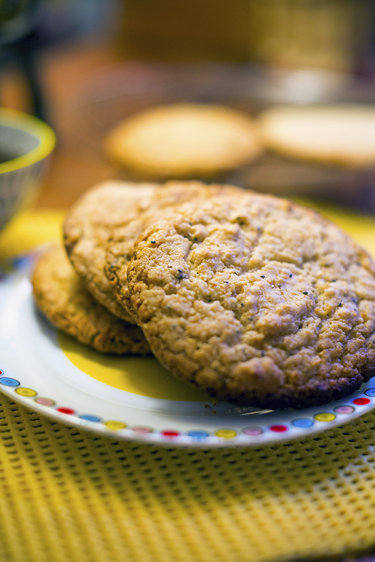 Coconut & Cinnamon Cookies